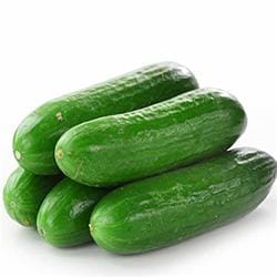 MIA FOOD SERVICE CUCUMBERS ENGLISH MED/LRG 12EA CUCUMBERS ENGLISH MED/LRG 12EA