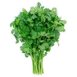 CILANTRO REPACK 3EA 3EA