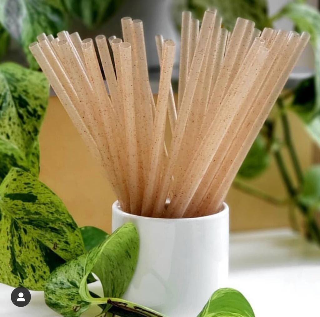 MIA Food Service 6" NATURAL AGAVE STRAWS UNWRAPPED 2000EA 6" NATURAL AGAVE STRAWS UNWRAPPED 2000EA