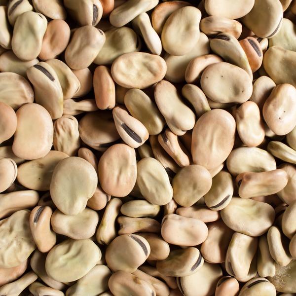CLIC EXTRA LARGE FAVA BEANS 5KG