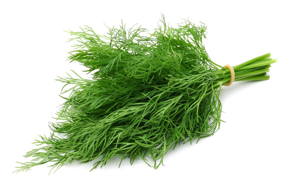 MIA Food Service FRESH DILL REPACK 3EA FRESH DILL REPACK 3EA