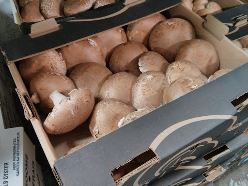 FRESH PORTOBELLO MUSHROOMS 5LB