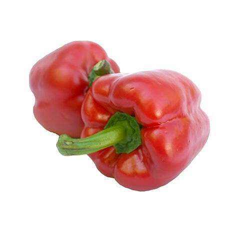 MIA Food Service FRESH RED PEPPERS LARGE BUSHEL FRESH RED PEPPERS LARGE BUSHEL