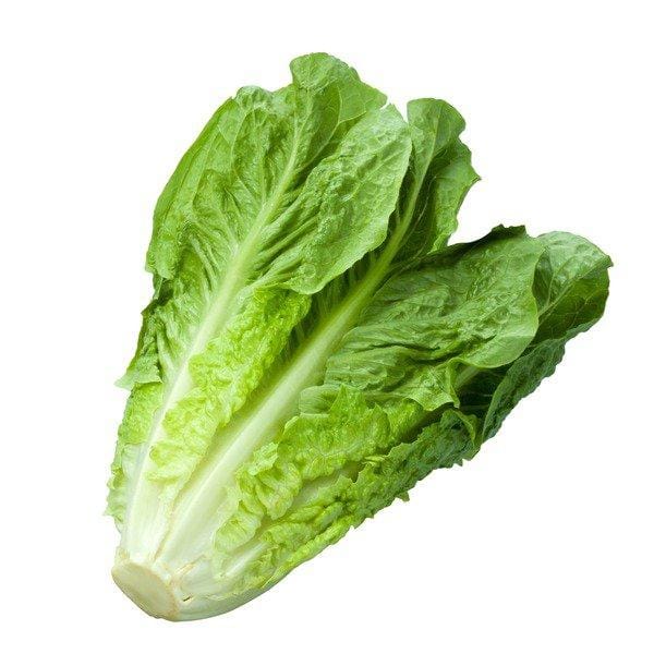 MIA Food Service FRESH ROMAINE LETTUCE REPACK 3EA FRESH ROMAINE LETTUCE REPACK 3EA