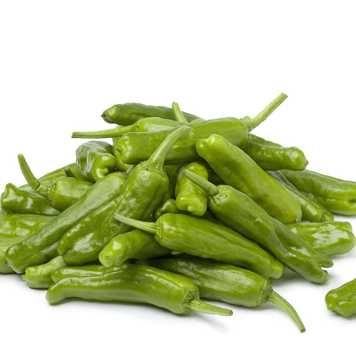 MIA Food Service FRESH SHISHITO PEPPERS 227GR FRESH SHISHITO PEPPERS 227GR