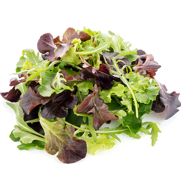 MIA Food Service FRESH SPRING MIX 3LB FRESH SPRING MIX 3LB