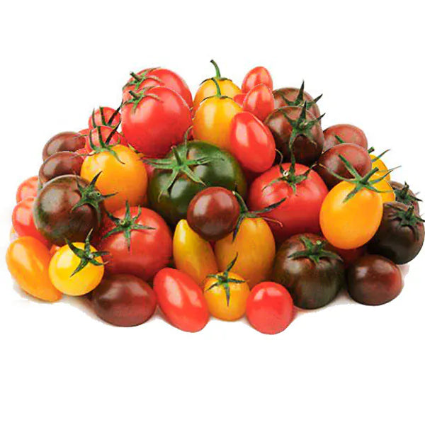 MIA Food Service FRESH SUNSET MEDLEY TOMATOES 341GR FRESH SUNSET MEDLEY TOMATOES 341GR