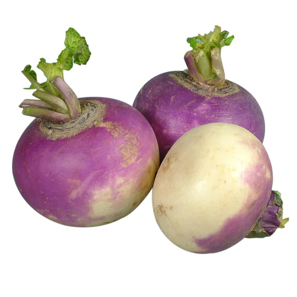 FRESH TURNIPS 25LB