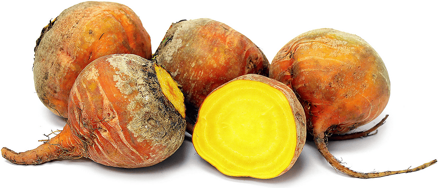 MIA Food Service FRESH GOLDEN BEETS REPACK 2.5LB FRESH GOLDEN BEETS REPACK 2.5LB