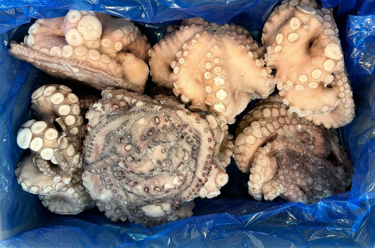Mia Food Service OCTOPUS T4 TRAY 30LB OCTOPUS T4 TRAY 30LB