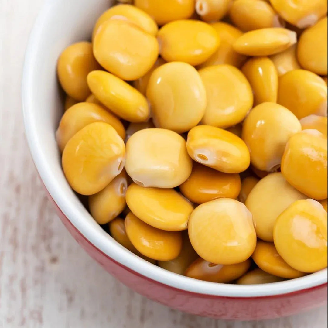 MIA Food Service JESSE TREE LUPINI BEANS IN BRINE 6X1062ML JESSE TREE LUPINI BEANS IN BRINE 6X1062ML