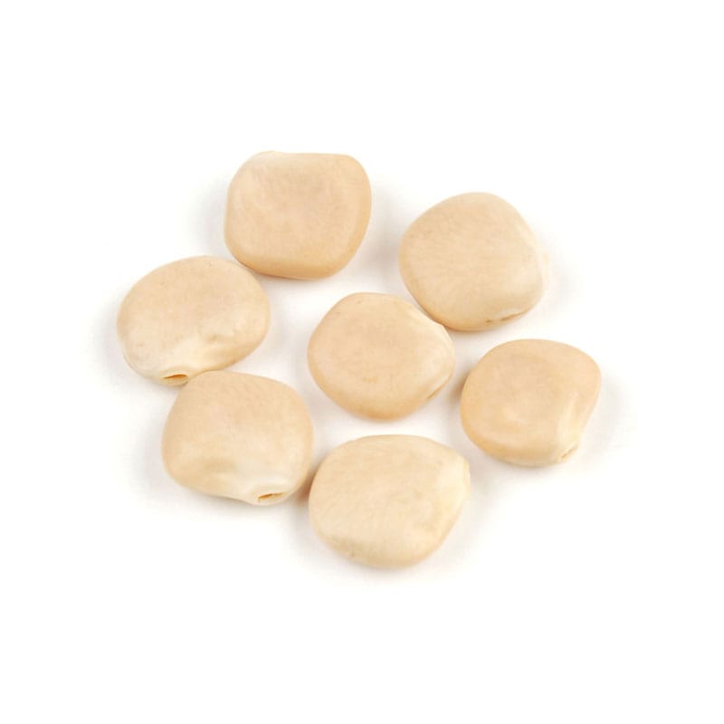 MIA Food Service BELLE DONNE LUPINI BEANS 750GR BELLE DONNE LUPINI BEANS 750GR
