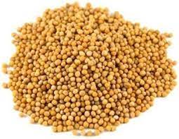 MIA Food Service BELLE DONNE MUSTARD SEEDS 3.75KG BELLE DONNE MUSTARD SEEDS 3.75KG