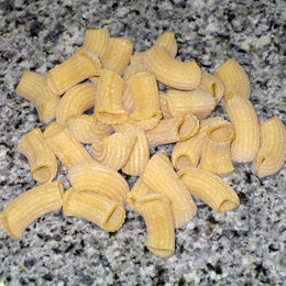 ONLY PASTA RIGATONI 3.8KG