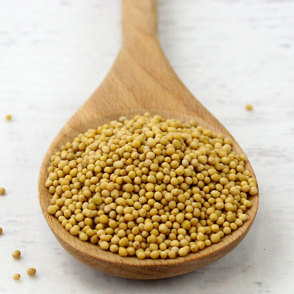 MIA Food Service 24K YELLOW MUSTARD SEEDS 454GR 24K YELLOW MUSTARD SEEDS 454GR