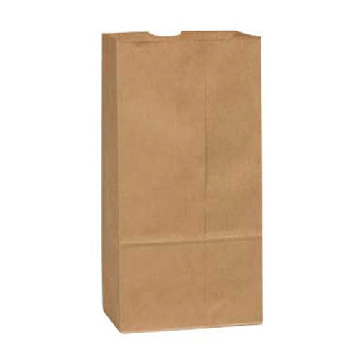DUBL LIFE 10LB BROWN BAGS 500EA