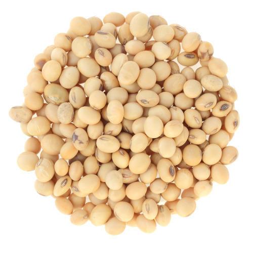 CLIC SOYA BEANS 5KG
