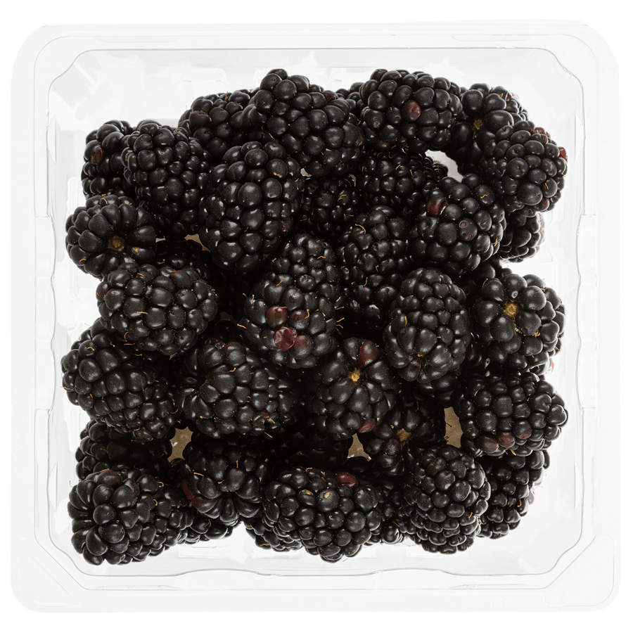 MIA Food Service FRESH BLACKBERRIES 170GR FRESH BLACKBERRIES 170GR