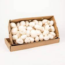 MIA Food Service FRESH BUTTON MUSHROOMS 5LB FRESH BUTTON MUSHROOMS 5LB