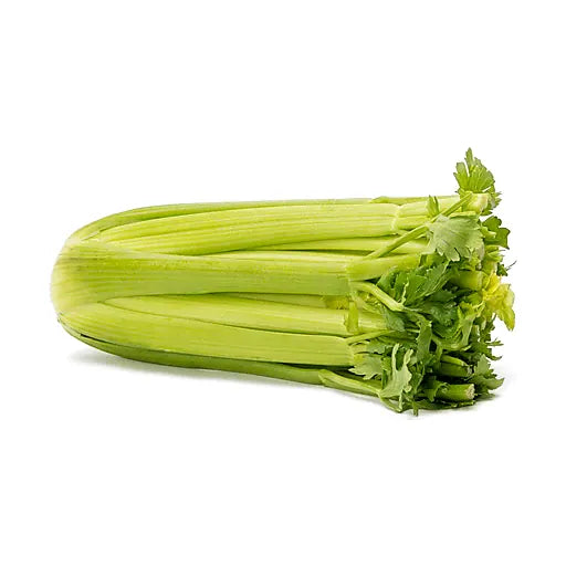MIA Food Service FRESH CELERY 24EA FRESH CELERY 24EA