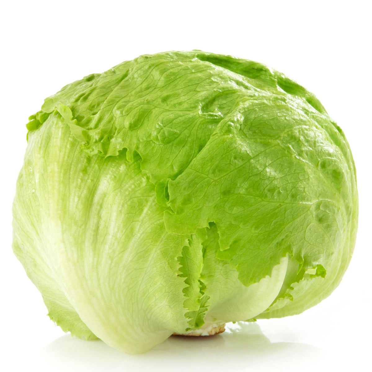 Mia Food FRESH ICEBERG LETTUCE REPACK 3EA FRESH ICEBERG LETTUCE REPACK 3EA