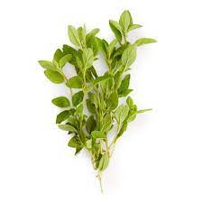 Mia Food FRESH OREGANO REPACK 3EA FRESH OREGANO REPACK 3EA