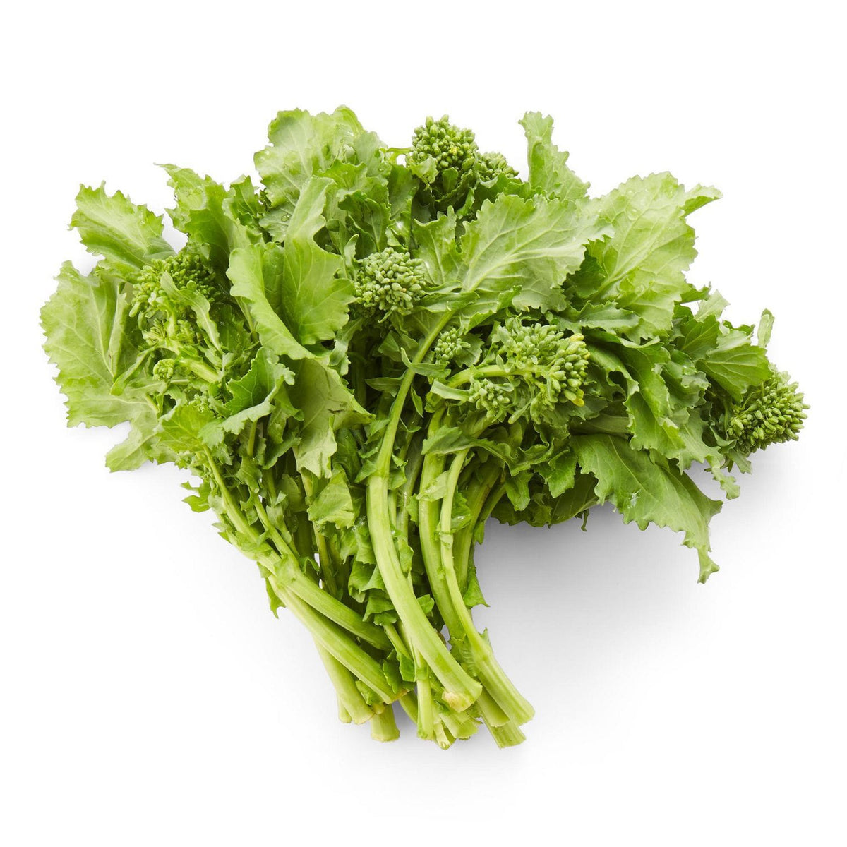 MIA Food Service FRESH RAPINI REPACK 2EA FRESH RAPINI REPACK 2EA