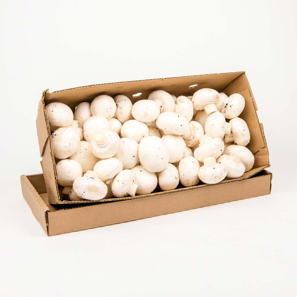 MIA Food Service FRESH #1 MUSHROOMS 5LB FRESH #1 MUSHROOMS 5LB