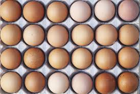MIA Food Service OMEGA FREE RUN LARGE BROWN EGGS LOOSE 180EA OMEGA FREE RUN LARGE BROWN EGGS LOOSE 180EA