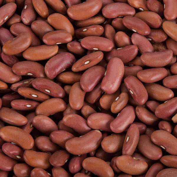 CLIC RED KIDNEY BEANS 20KG