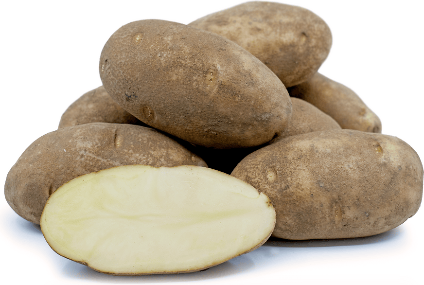 MIA Food Service RUSSET POTATOES 50LB RUSSET POTATOES 50LB