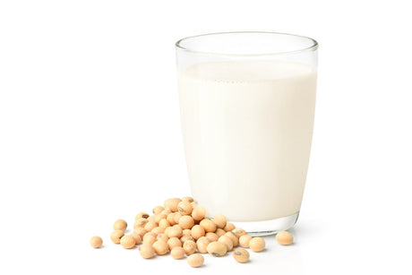 Vegan/Dairy Free