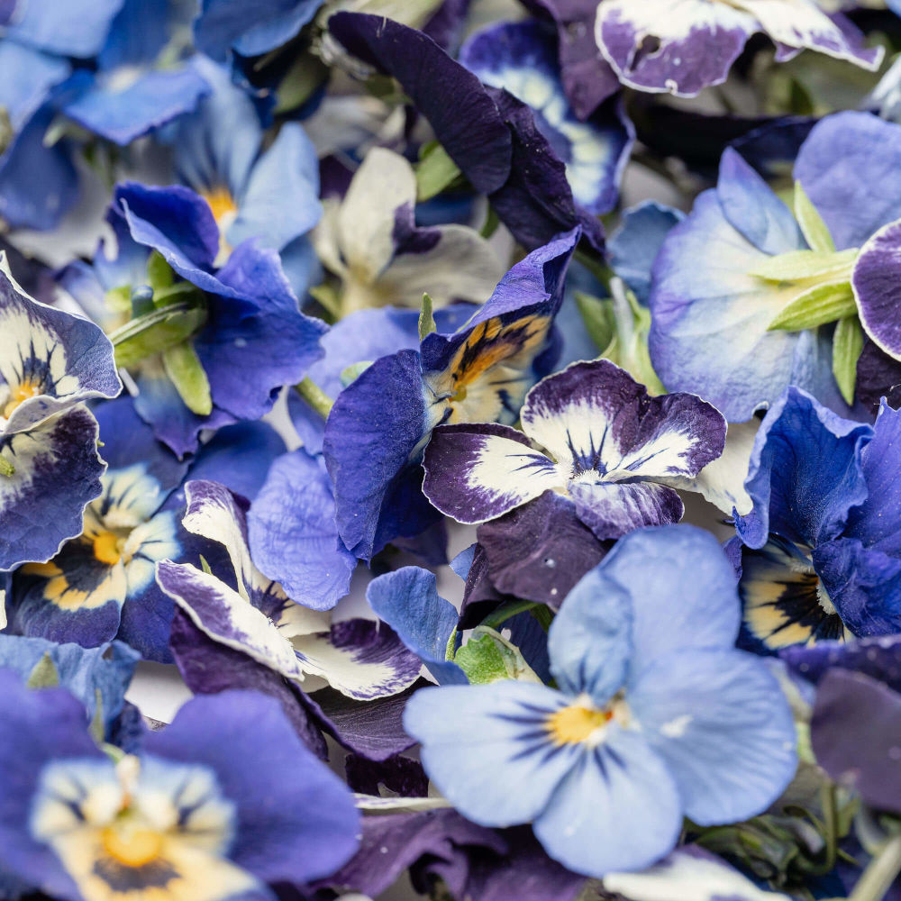LIOFLOR FREEZE-DRIED EDIBLE PANSY FLOWERS 2GR