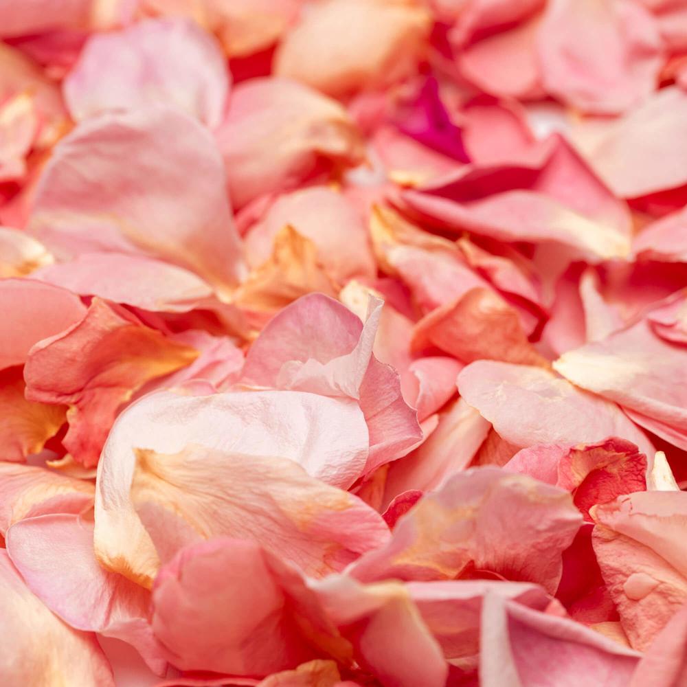 LIOFLOR FREEZE-DRIED APRICOT ROSE PETALS 3GR