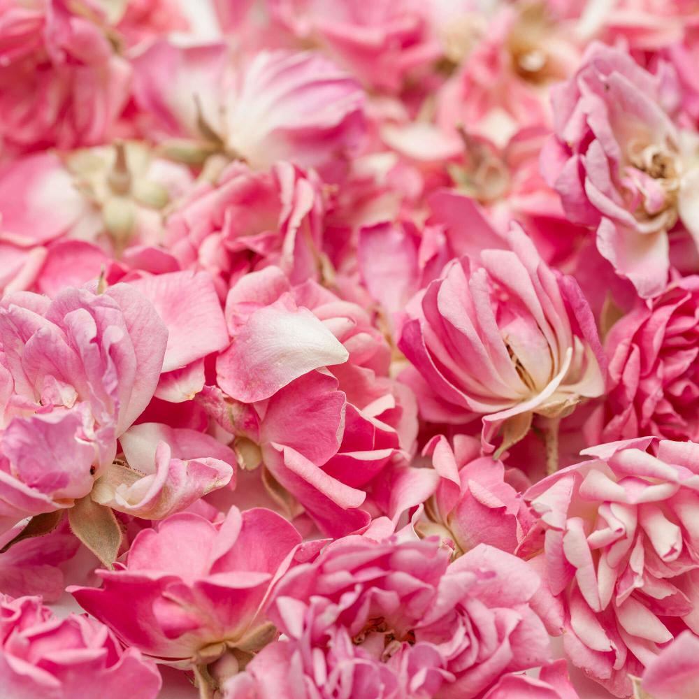 LIOFLOR FREEZE-DRIED PINK MINI ROSE FLOWERS 3GR
