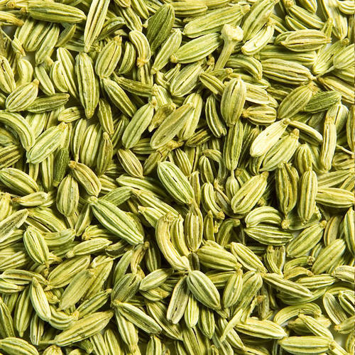 BELLE DONNE FENNEL SEEDS 2.15KG