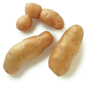 FRESH FINGERLING POTATOES 5LB
