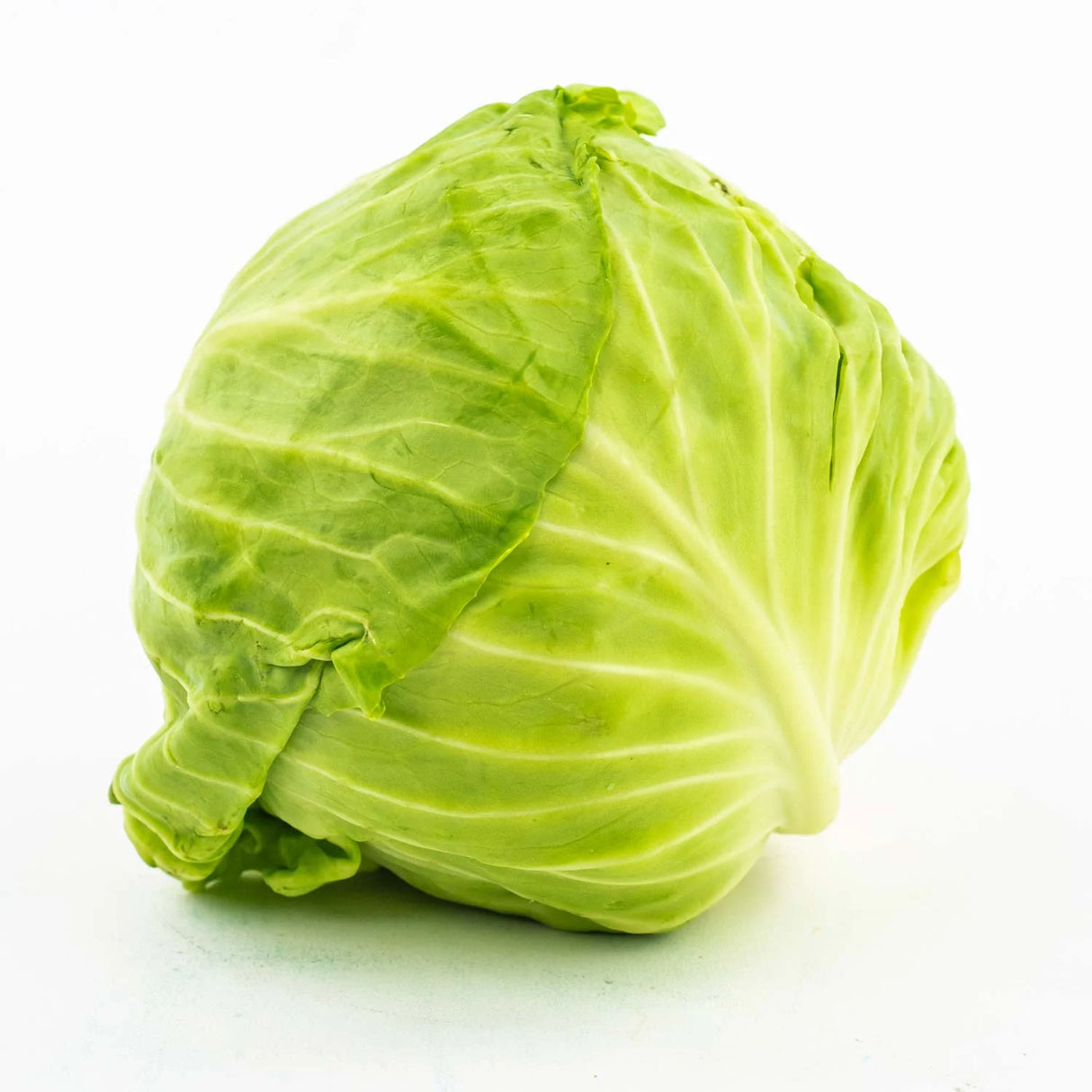 FRESH GREEN CABBAGE 10EA