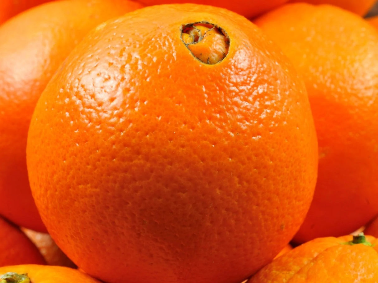 FRESH NAVEL ORANGES REPACK 6EA