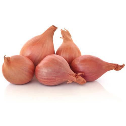 FRESH SHALLOTS 10LB