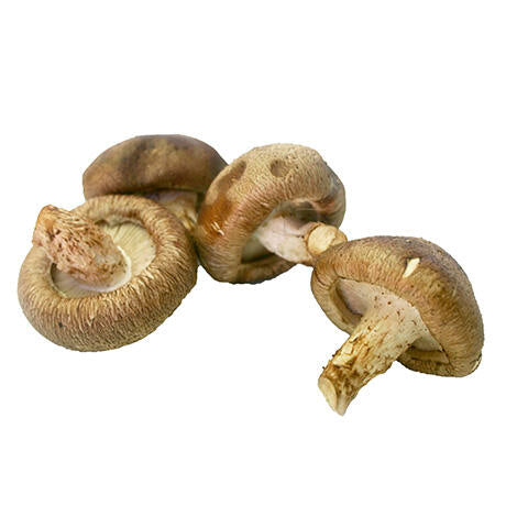 FRESH SHIITAKE MUSHROOMS 3LB