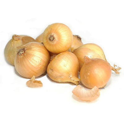 FRESH WHITE COOKING ONIONS 10LB