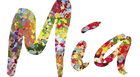 Mia Food Service