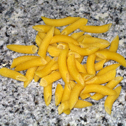 ONLY PASTA PENNE 3.8KG