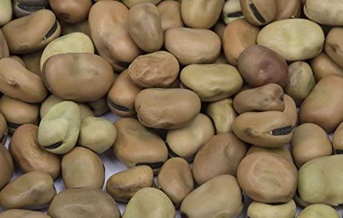 FAVA BEANS 6 X 100 OZ CLIC Default Title