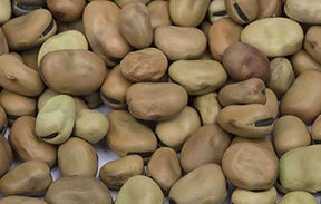 FAVA BEANS 6 X 100 OZ CLIC Default Title