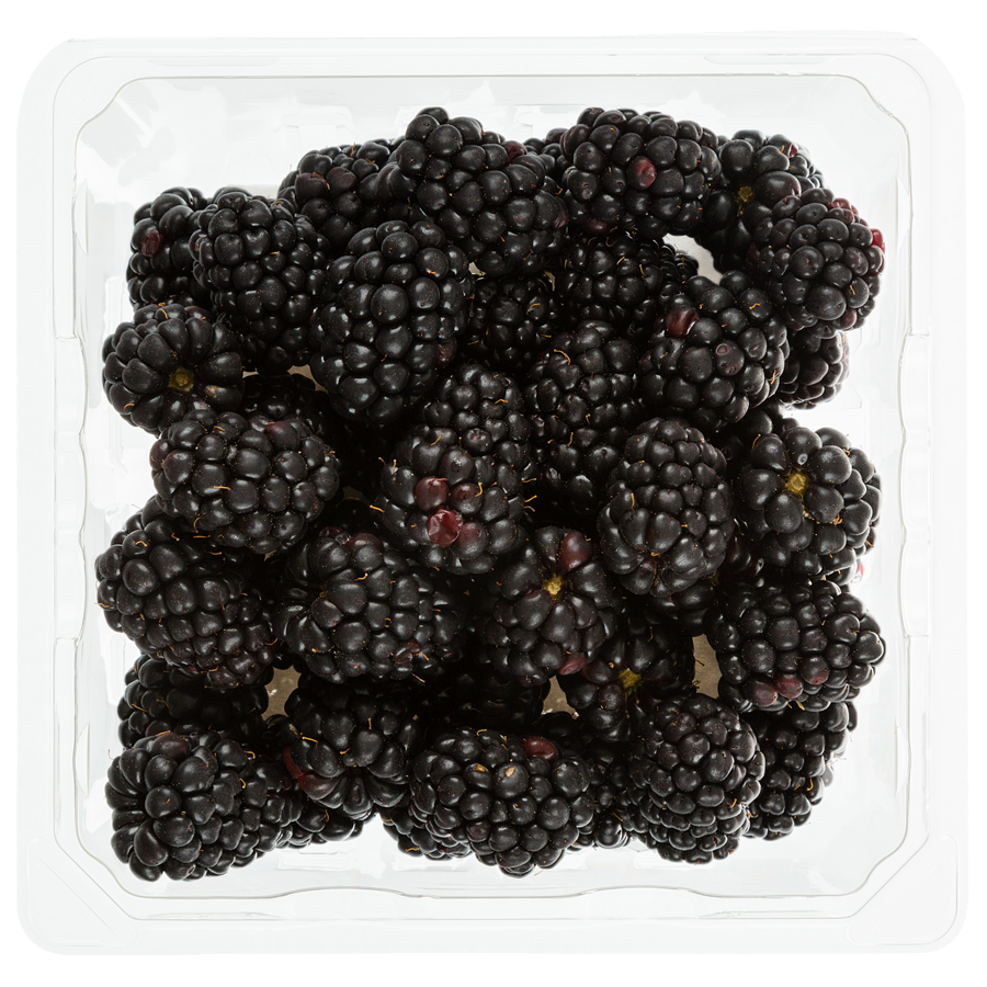 FRESH BLACKBERRIES 170GR
