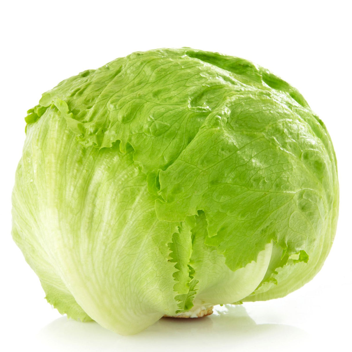 FRESH ICEBERG LETTUCE REPACK 3EA