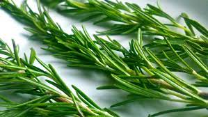 FRESH ROSEMARY REPACK 3EA Default Title