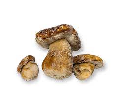 CA MUCCI FROZEN PORCINI MUSHROOMS 1KG